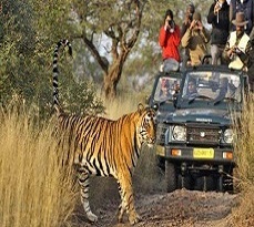 jim corbett nainital